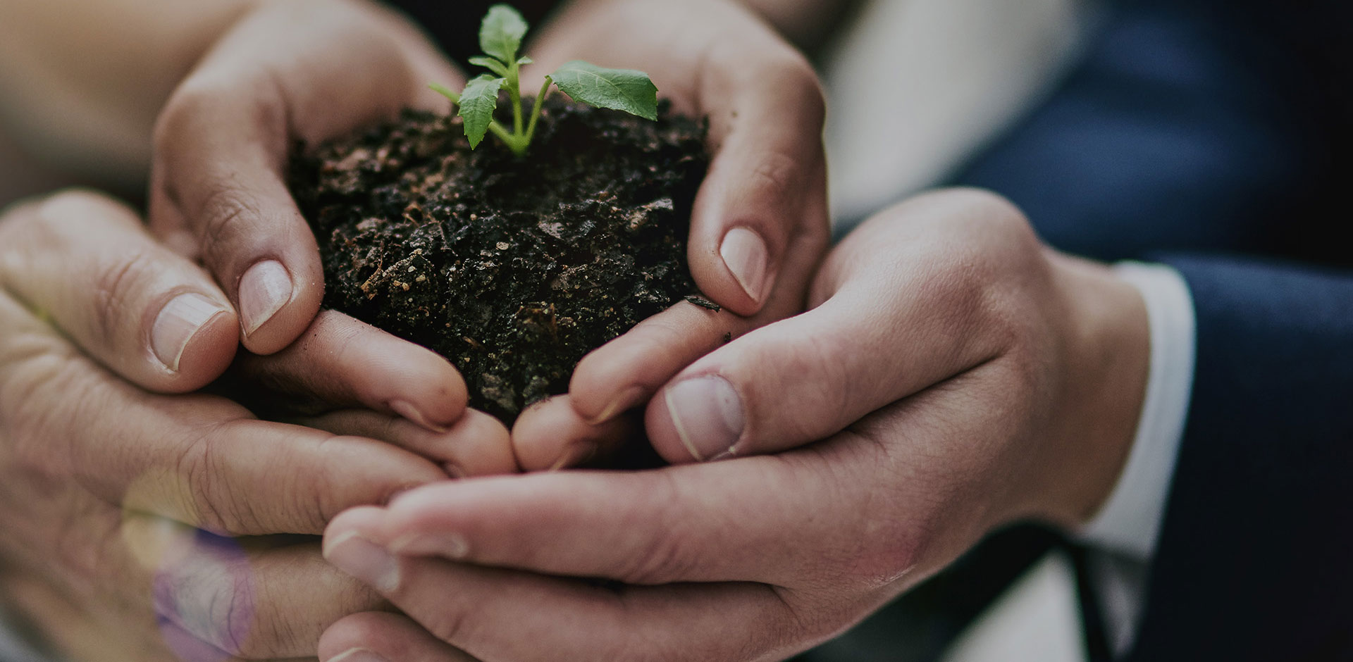 Explosion Proof And Industrial Lighting Sustainability